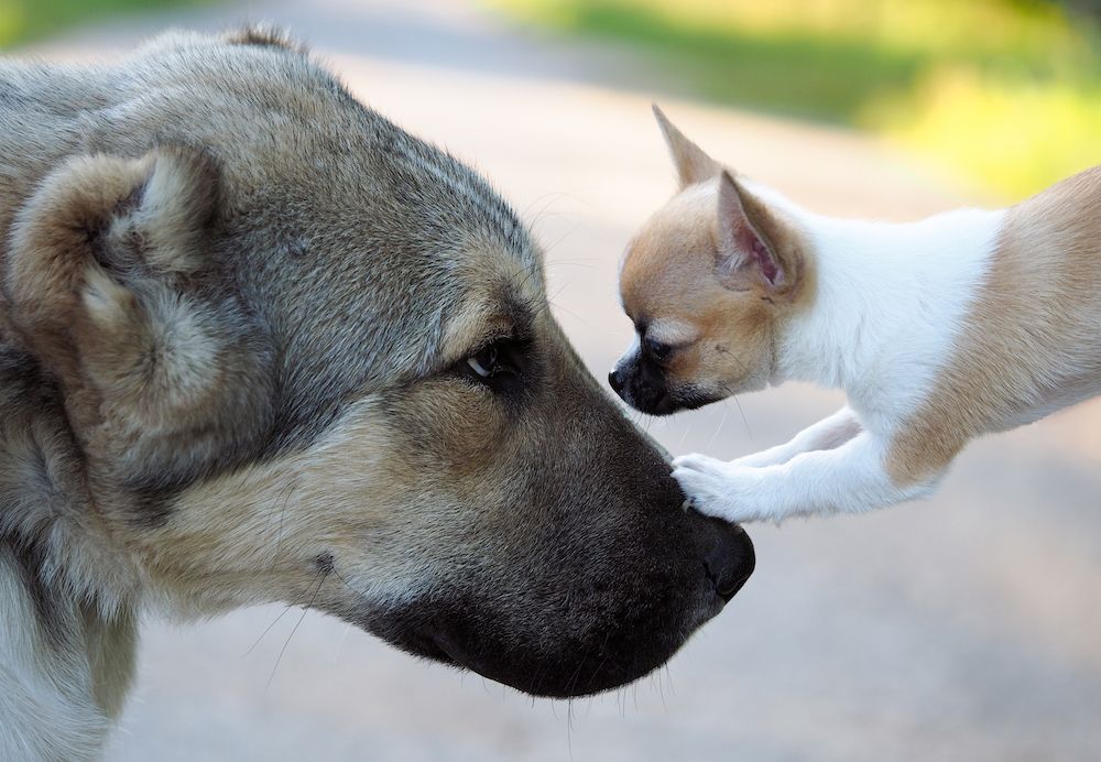 Question of the Week